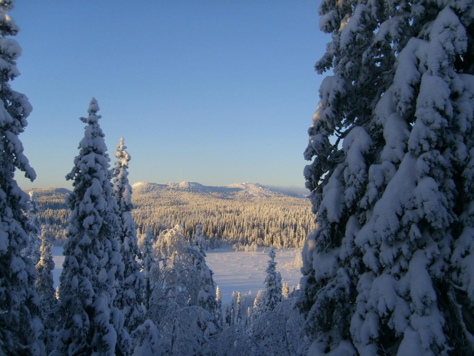 Rukajarven Kelopirtit Cottages Esterno foto